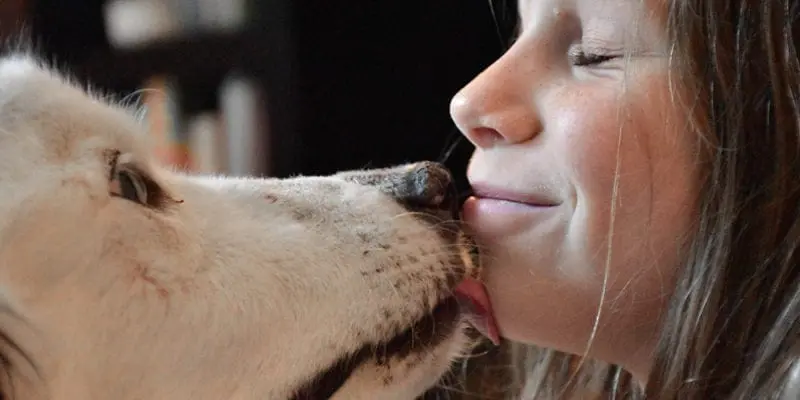 teaching compassion