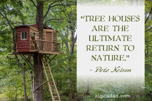 4 Steps to Building a Great Tree House