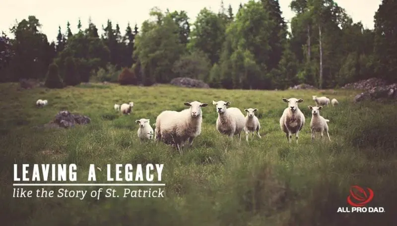 the story of st patrick