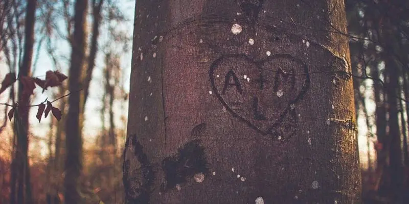 love letters for her