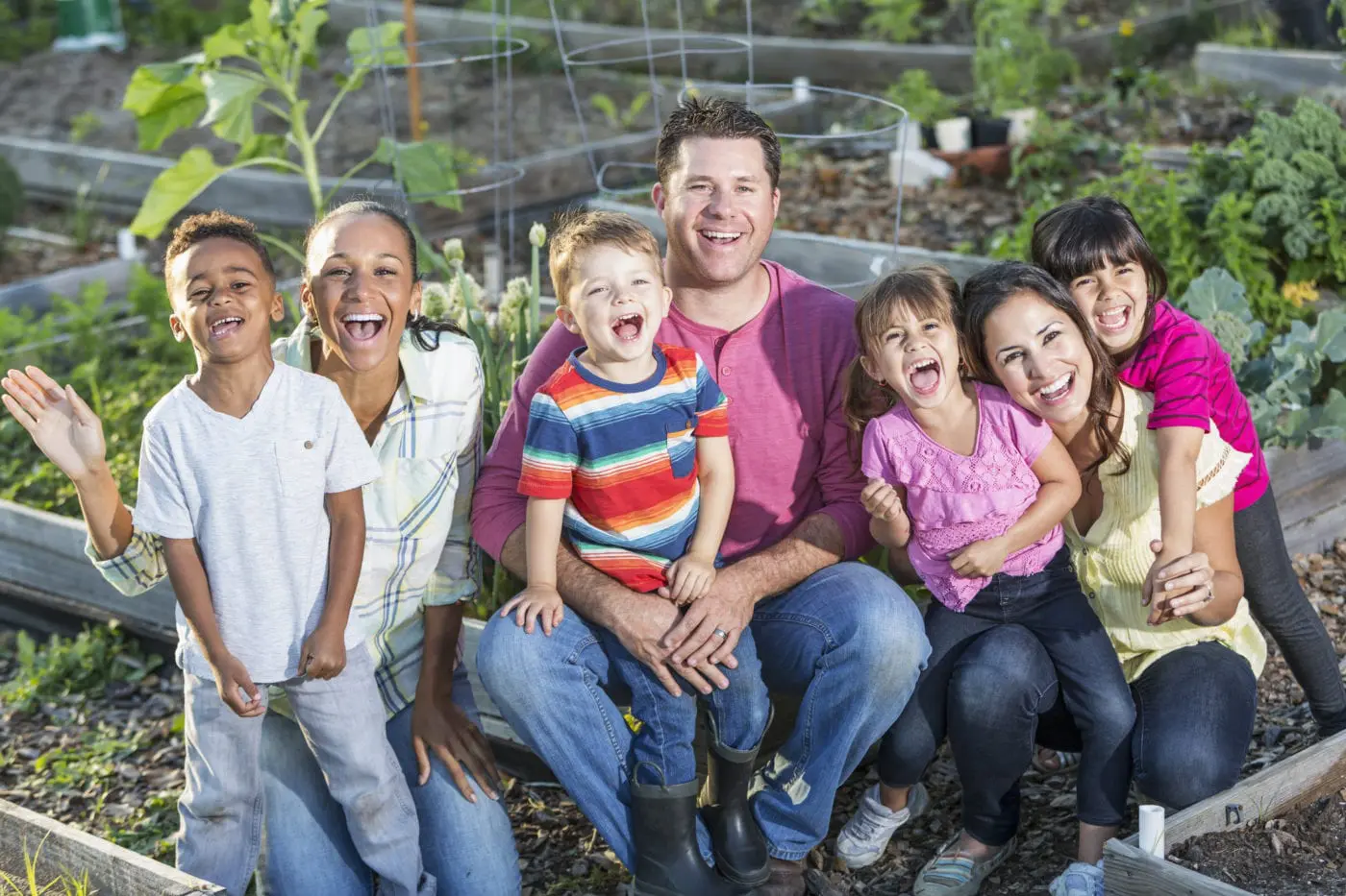 barriers to adoption