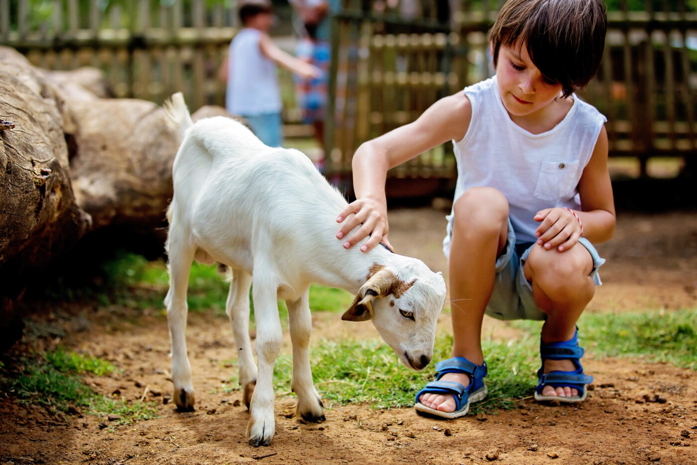 teaching compassion