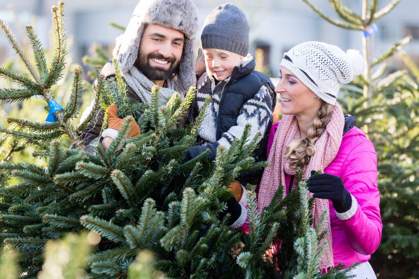 favorite christmas traditions